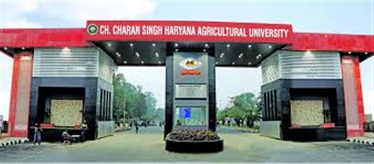 Government forms 4-member committee to interact with students of Haryana Agricultural University.